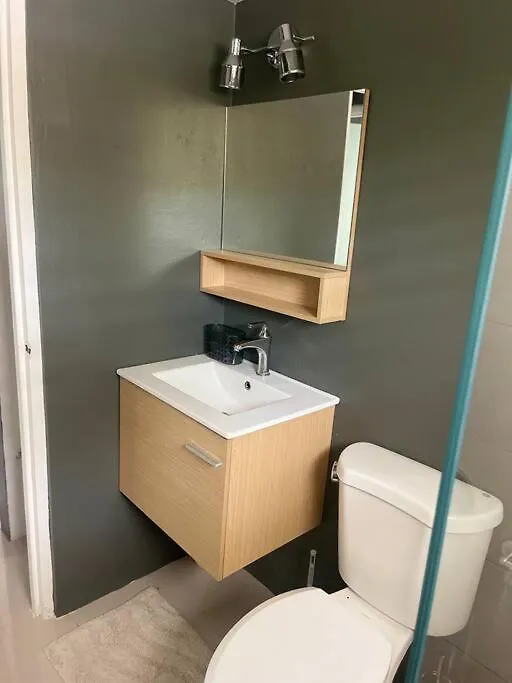 New Kingston Retreat Apartment Jamaica