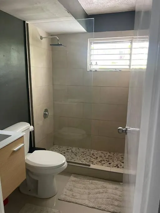 New Kingston Retreat Apartment